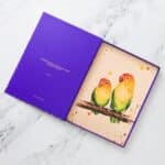 Parrot Design Empty Box