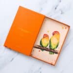 Orange box parrot illustration