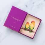 Parrot Design Empty Purple Box