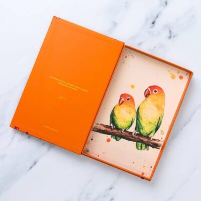 Orange box parrot illustration