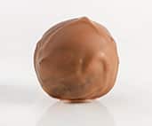 Orange Caramel Flavoured Truffle Orange Caramel Flavoured Truffle
