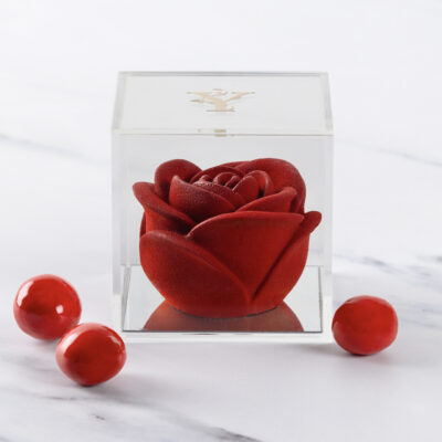 Rose in Bloom with Milk chocolate and Hazelnut Dragees